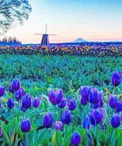 Blue Tulips Landscape Diamond Painting