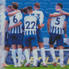 Brighton and Hove Albion Team Diamond Painting