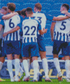 Brighton and Hove Albion Team Diamond Painting