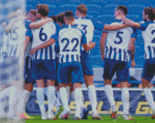 Brighton and Hove Albion Team Diamond Painting