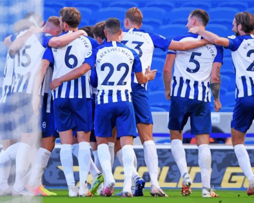 Brighton and Hove Albion Team Diamond Painting