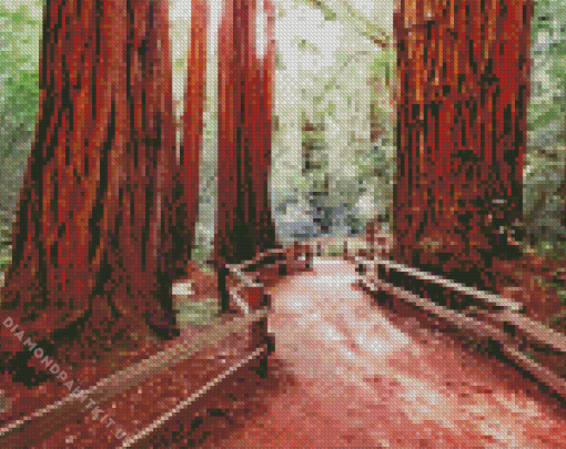 California Redwoods Diamond Painting