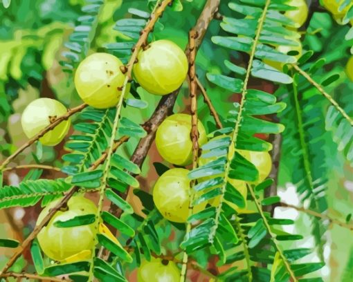 Ceylon Gooseberry Diamond Painting