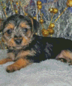 Chorkie Dog Diamond Painting