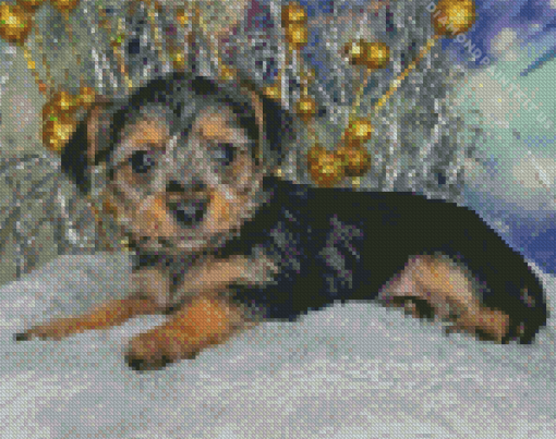 Chorkie Dog Diamond Painting