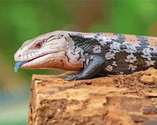 Close Up Blue Tongued Skink Diamond Painting