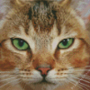 Close Up Abyssinian Cat Diamond Painting