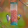 Cute Birds Feeder Diamond Painting