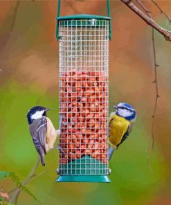 Cute Birds Feeder Diamond Painting