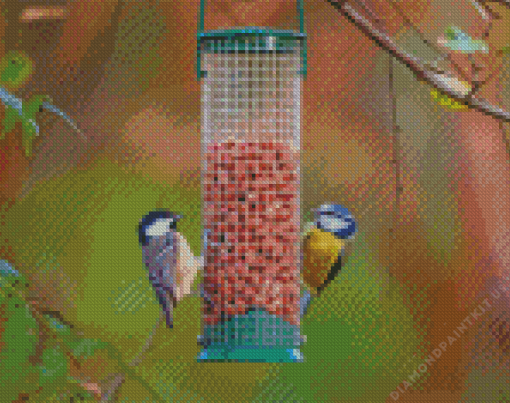 Cute Birds Feeder Diamond Painting