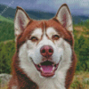 Cute Red Husky Diamond Painting