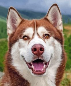 Cute Red Husky Diamond Painting