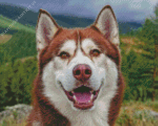 Cute Red Husky Diamond Painting