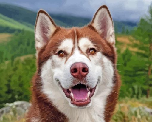 Cute Red Husky Diamond Painting