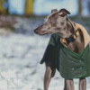 Cute Whippet Dog Diamond Painting