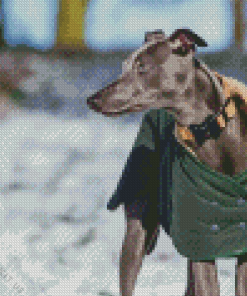 Cute Whippet Dog Diamond Painting