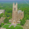 Duke University Landscape Diamond Painting