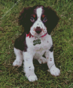 English Springer Spaniel Diamond Painting