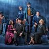 Fantastic Beasts Characters Diamond Painting