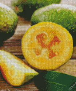 Feijoa Diamond Painting