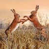 Fighting Hares Diamond Painting