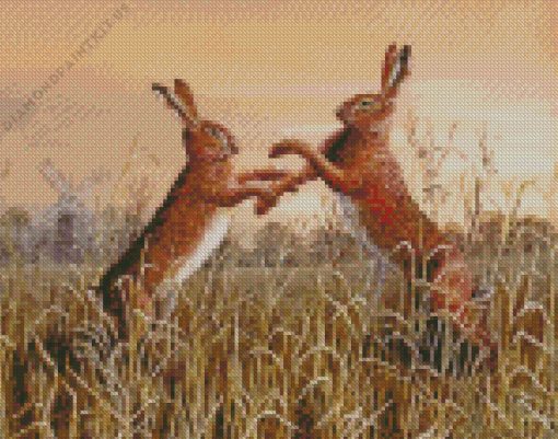 Fighting Hares Diamond Painting