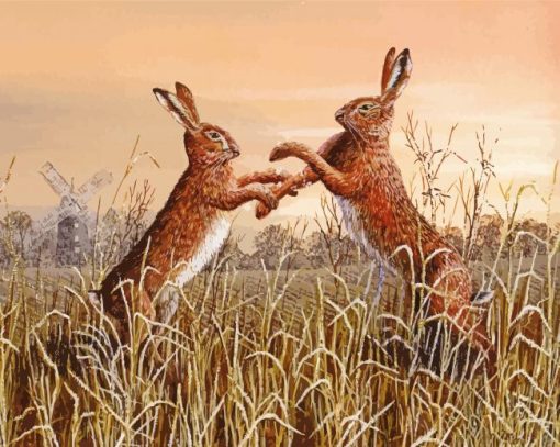 Fighting Hares Diamond Painting