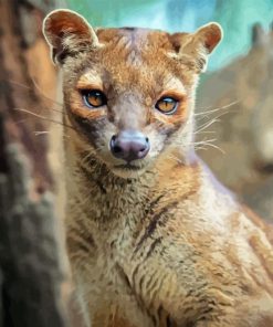 Fossa Diamond Painting