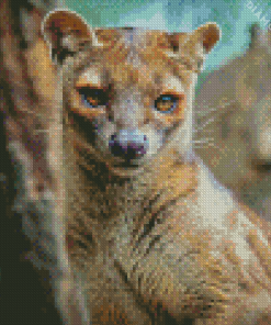 Fossa Diamond Painting