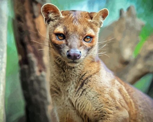 Fossa Diamond Painting