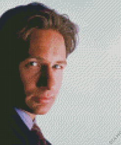 Fox Mulder Diamond Painting