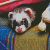 Furet Diamond Painting