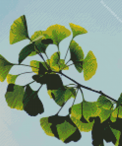 Ginkgo Plant Branch Diamond Painting