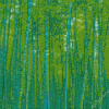 Green Bamboo Trees Landscape Diamond Painting