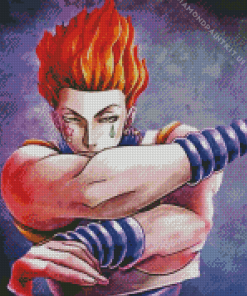 Hisoka Morow Hunter x Hunter Diamond Painting