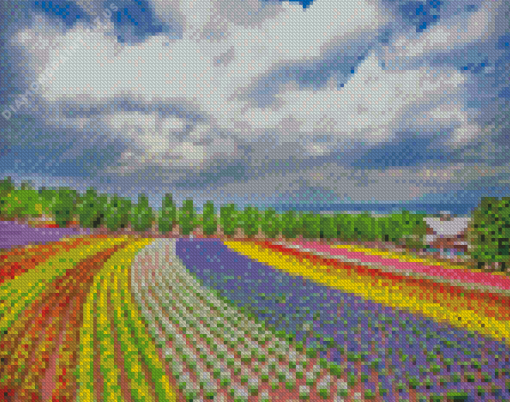 Hokkaido Farm Tomita Diamond Painting