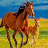 Horse And Colt In Field Diamond Painting