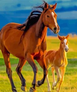 Horse And Colt In Field Diamond Painting