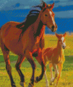 Horse And Colt In Field Diamond Painting