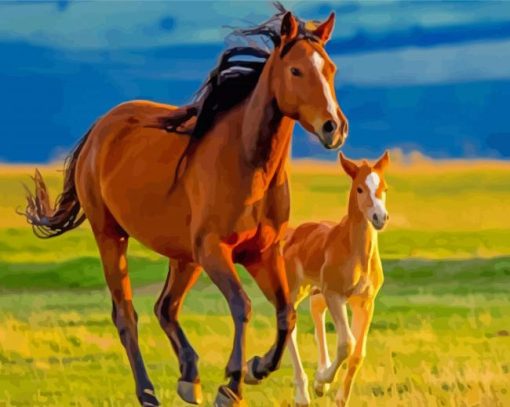 Horse And Colt In Field Diamond Painting