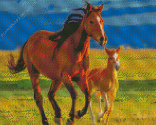 Horse And Colt In Field Diamond Painting