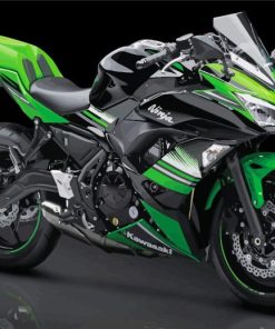 Kawasaki Ninja Diamond Painting