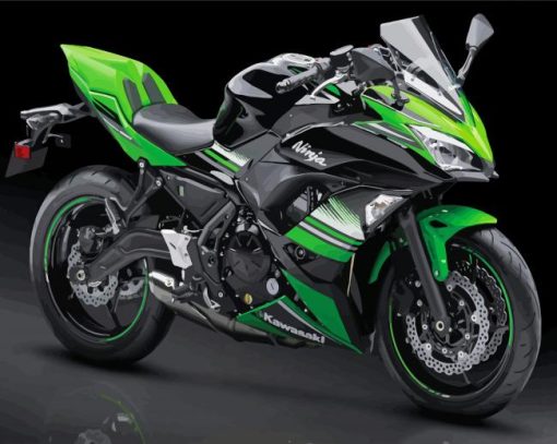 Kawasaki Ninja Diamond Painting