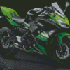 Kawasaki Ninja Diamond Painting