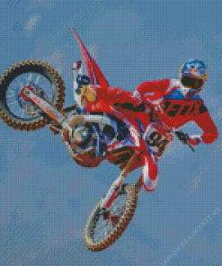 Ken Roczen Motorcycle Racer Diamond Painting