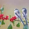 Long Tailed Tit Birds Diamond Painting