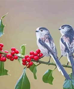 Long Tailed Tit Birds Diamond Painting