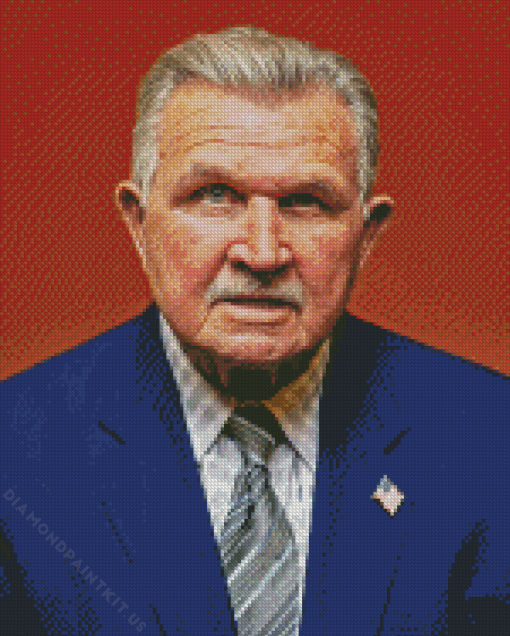 Michael Keller Ditka Diamond Painting