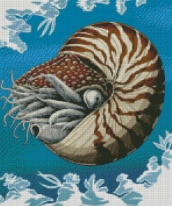 Nautilidae Marine Mollusc Diamond Painting