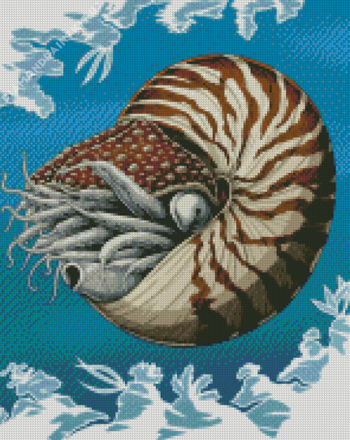 Nautilidae Marine Mollusc Diamond Painting